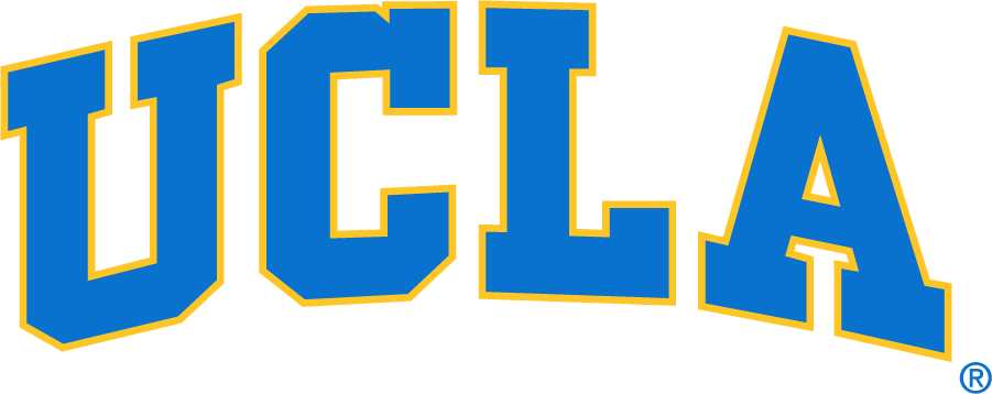 UCLA Bruins 1996-2017 Wordmark Logo v2 diy iron on heat transfer